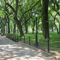 Central Park2011d16c141.jpg